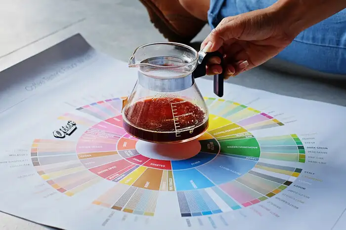 Cách sử dụng vòng tròn hương vị cà phê Coffee Taster’s Flavor Wheel