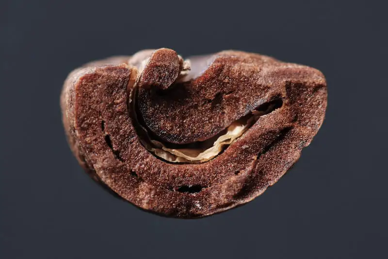 Tìm hiểu về mật độ hạt (coffee bean density)