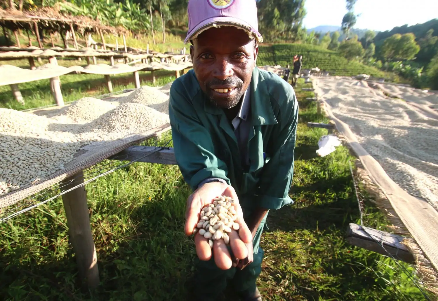 Tổng quan về cà phê Burundi từ Châu Phi