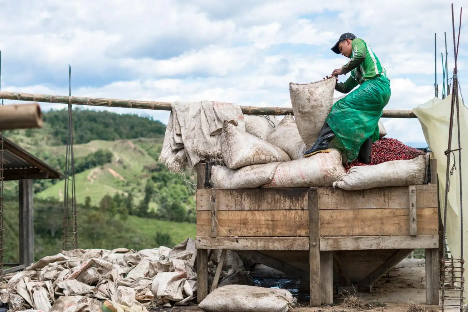 Sản xuất cà phê tại Colombia