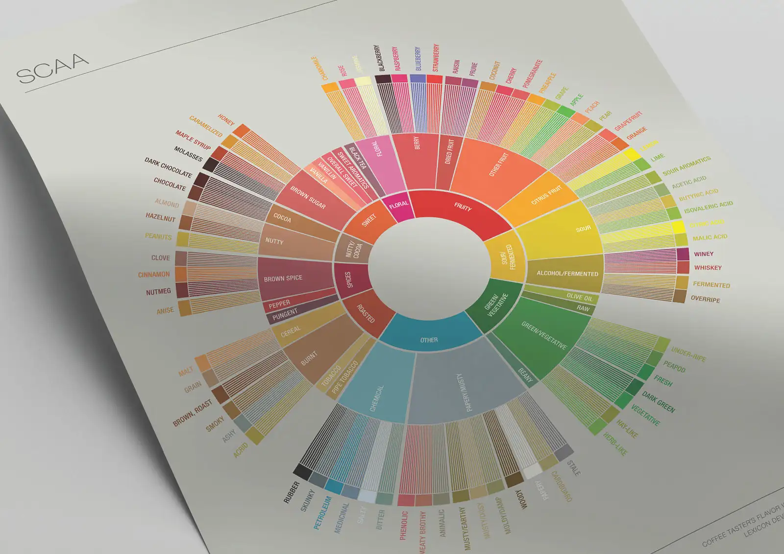 Vòng tròn hương vị cà phê – Coffee Taster’s Flavor Wheel