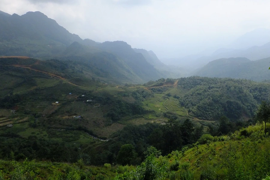 Cà phê Arabica Khe Sanh – Quảng Trị