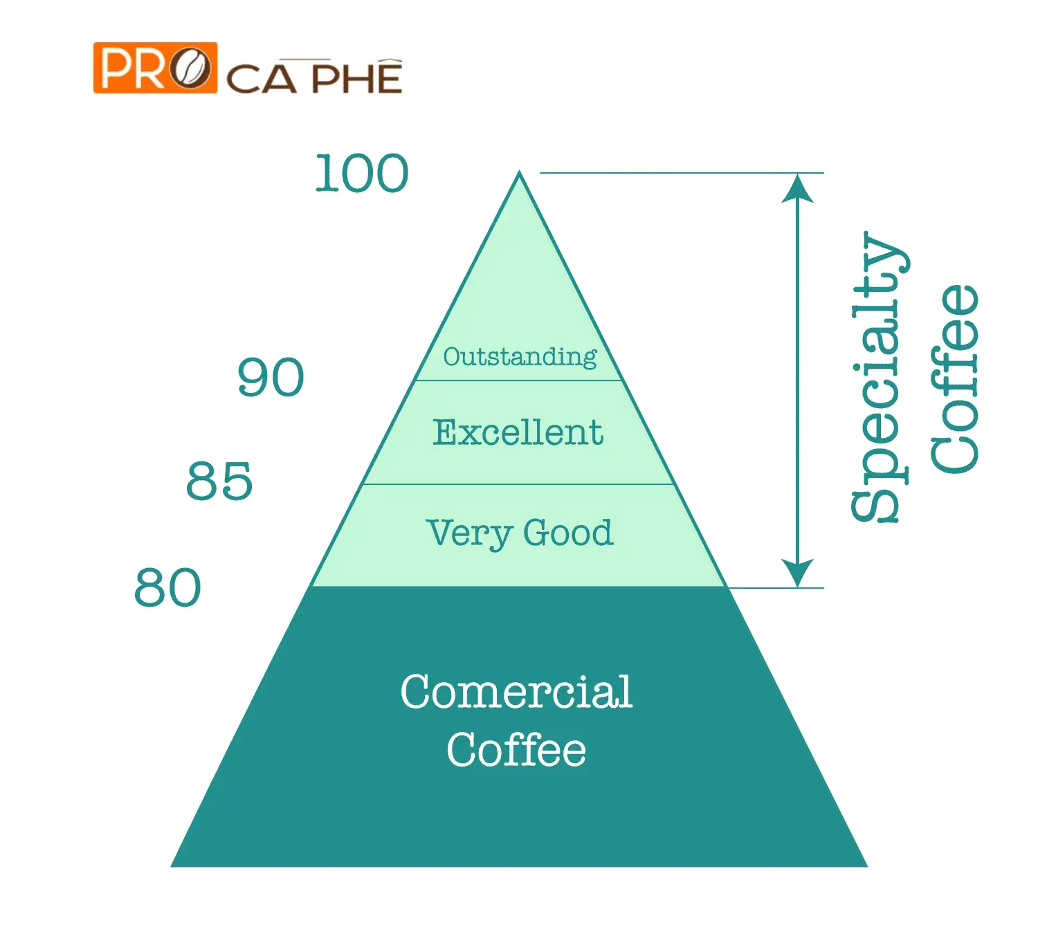 Specialty Coffee là gì? Cà phê đặc sản là gì?