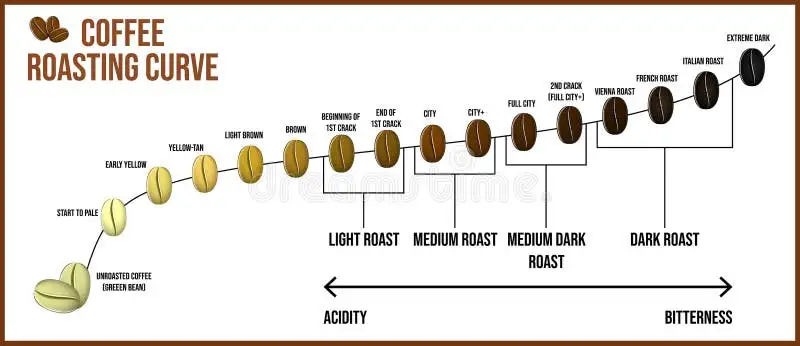 Coffee Roasting Stages Stock Illustrations – 200 Coffee Roasting Stages Stock Illustrations, Vectors & Clipart - Dreamstime