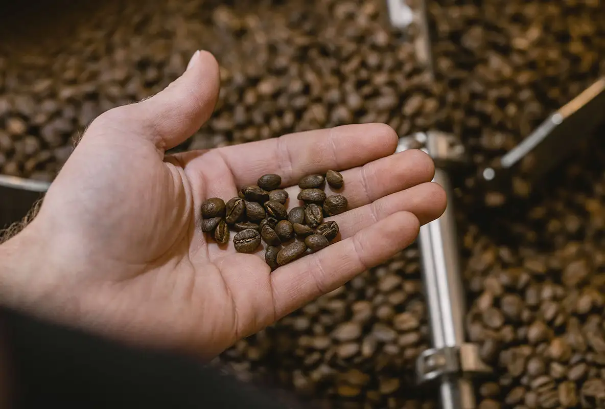 Coffee Roasting: The 3 Stages | Pax & Beneficia