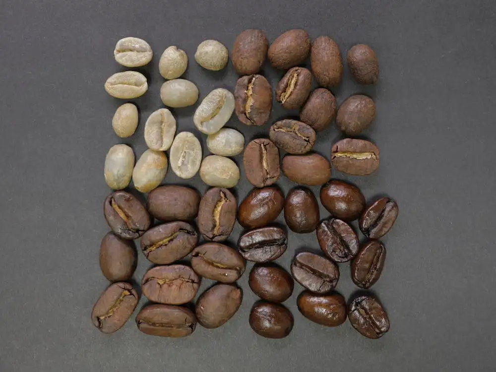 The Art of Coffee Archives - Northern Tea Merchants