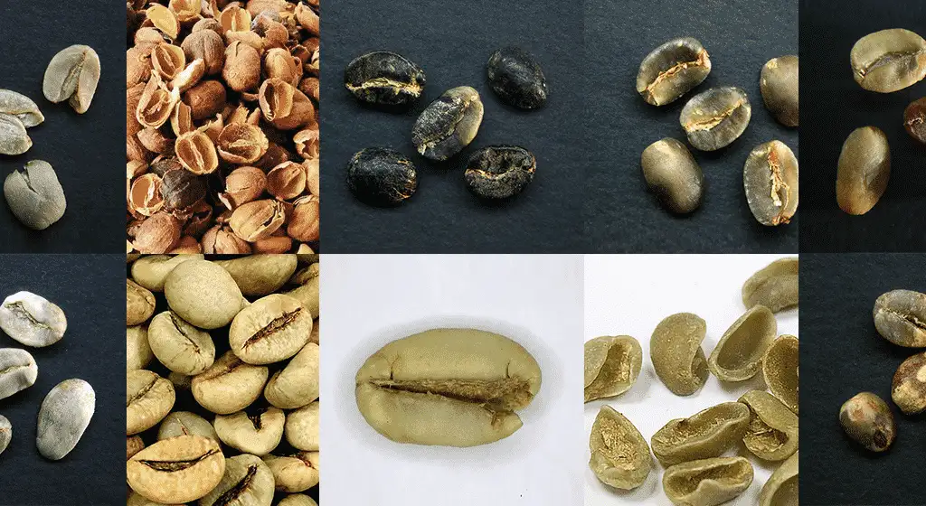 loi hat ca phe – Vietmay Coffee