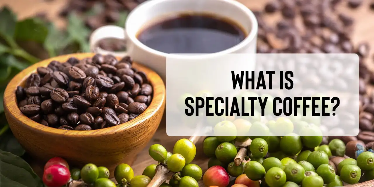 What is Specialty Coffee? – Something's Brewing