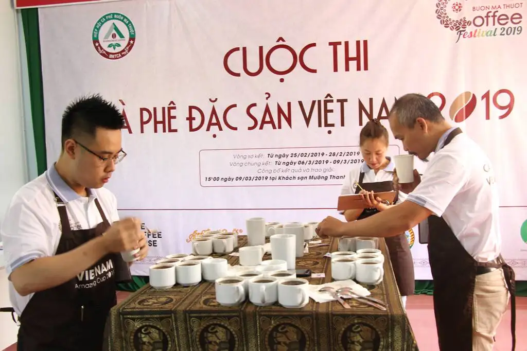 Có 42 mẫu tham dự Vòng sơ kết Cuộc thi Cà phê đặc sản Việt Nam 2019 - Xuất bản thông tin