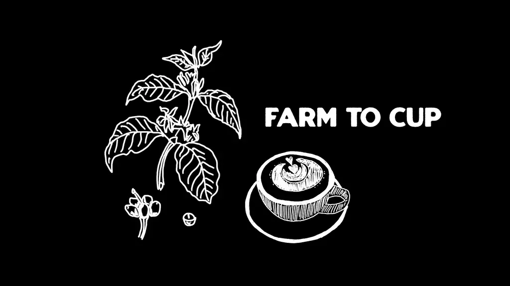 Understanding the Coffee Supply Chain: From Farm to Cup – Nowhere Coffee Club