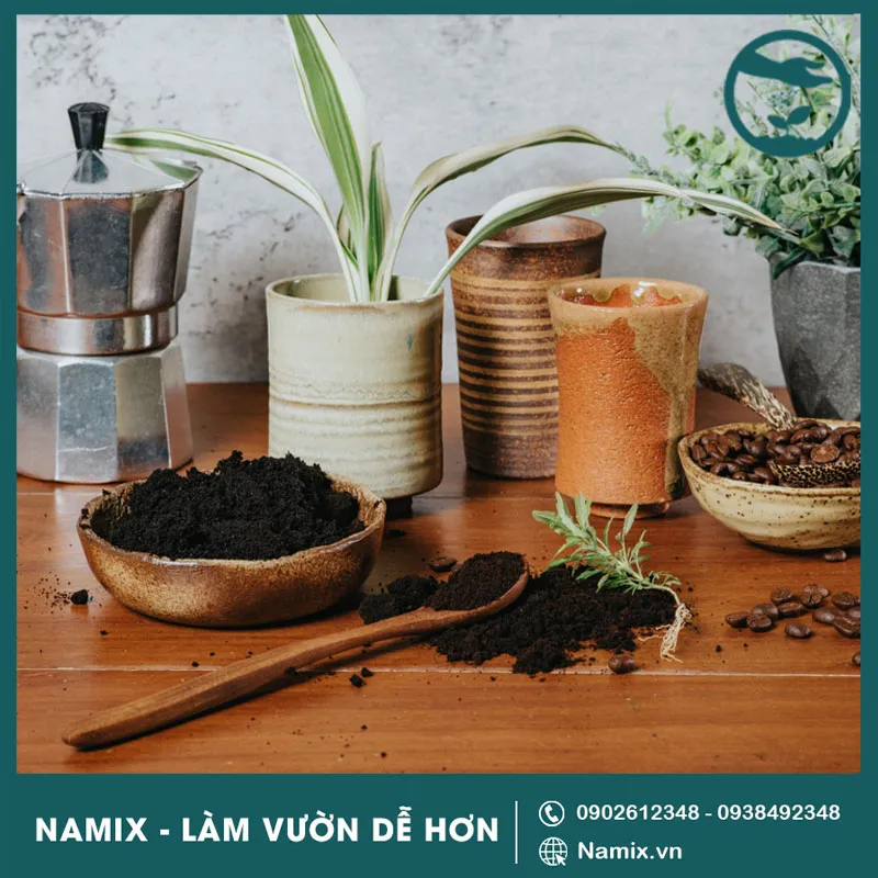 Bã cà phê sau khi pha được phơi khô để chuẩn bị cho quá trình ủ phân bón