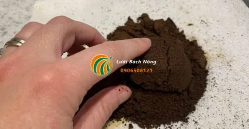 Bã cà phê