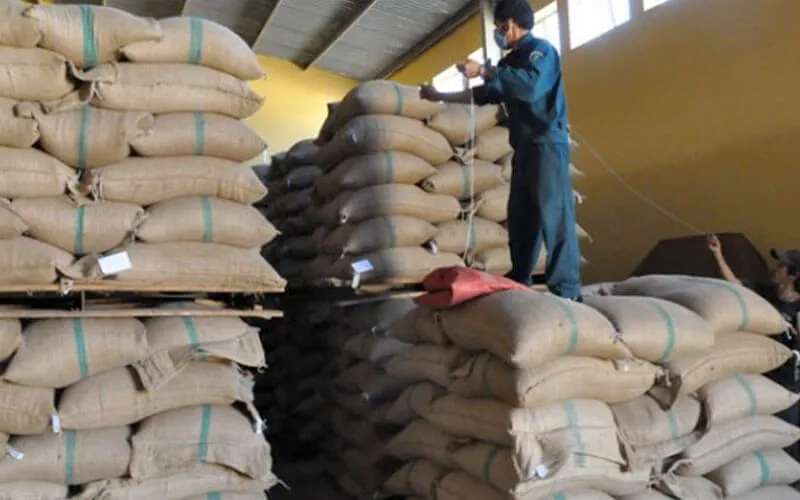 Bao bì GrainPro chuyên dụng cho bảo quản cà phê nhân