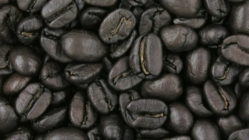 Bốn mức độ rang cà phê từ nhạt Light đến đậm Dark Roast thể hiện sự khác biệt về màu sắc và cấu trúc