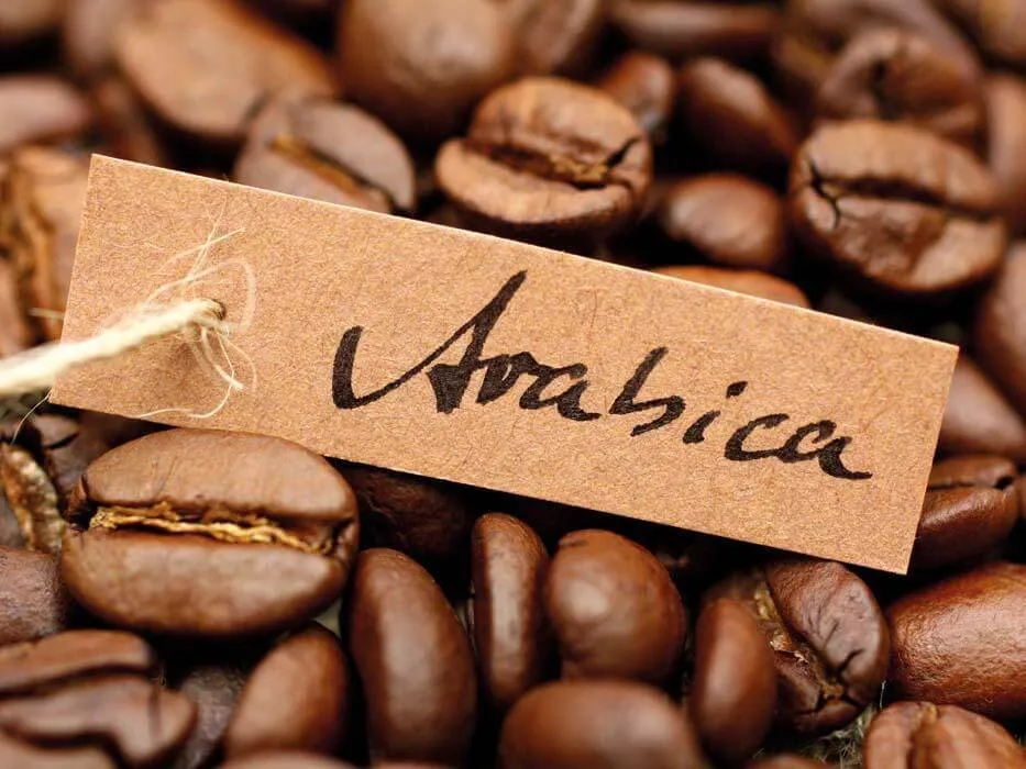 Cà phê Arabica