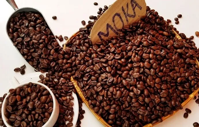 Cà phê Moka được trồng tại Đà Lạt