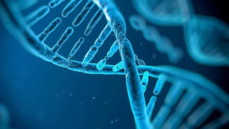 Cà phê nguyên chất giảm thiểu mức độ phân mảnh của chuỗi DNA, tăng cường sức khỏe bên trong, bổ trợ cho cách dùng bột cà phê tắm trắng