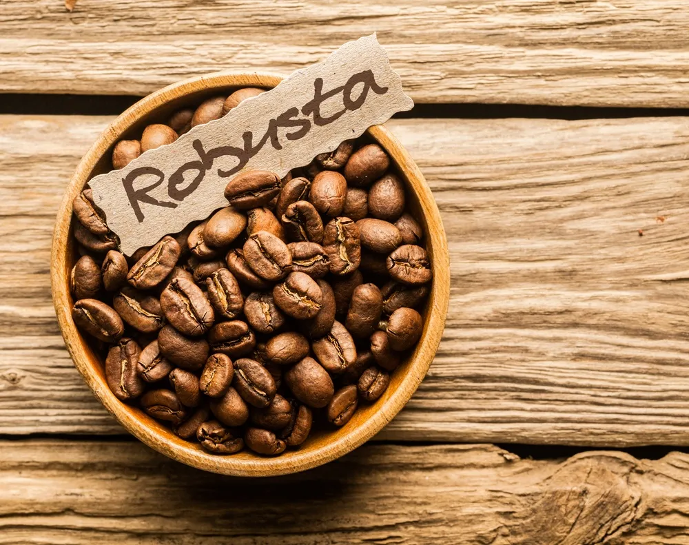Cà phê Robusta được trồng đại trà tại Việt Nam và chiếm phần lớn sản lượng xuất khẩu quốc tế