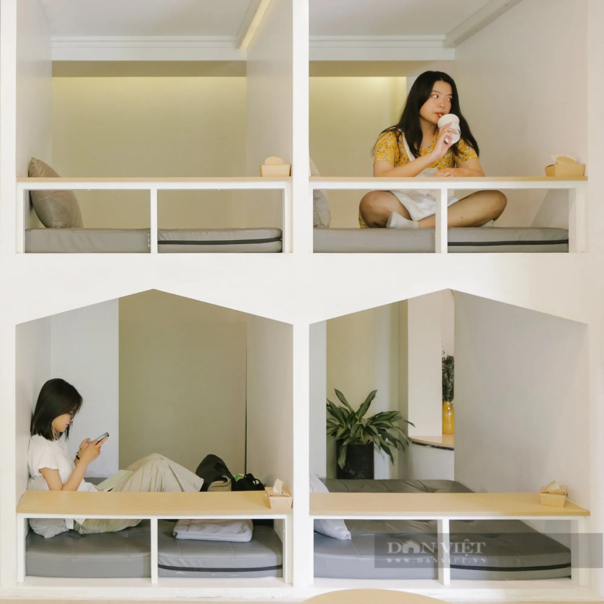Các "box" cà phê có giường nằm với nệm và bàn làm việc bên trong, đảm bảo sự riêng tư tuyệt đối