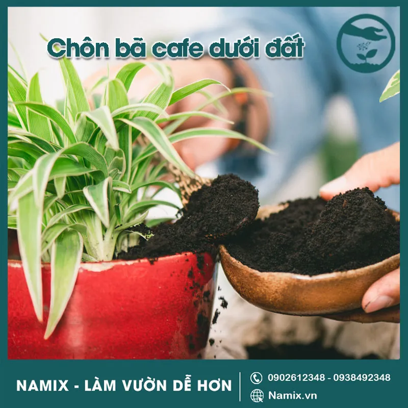 các làm phân bón từ bã cà phê