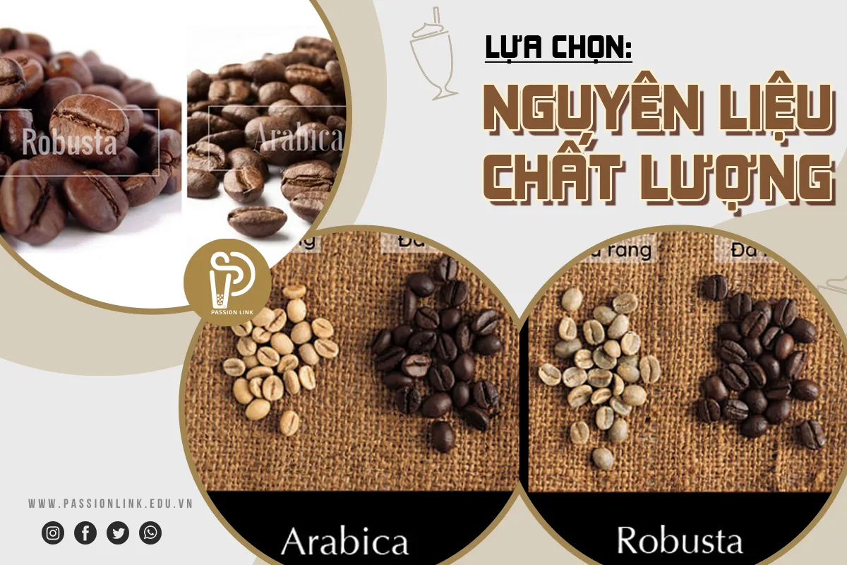 Cách chế cà phê ngon từ hạt Arabica và Robusta chất lượng cao