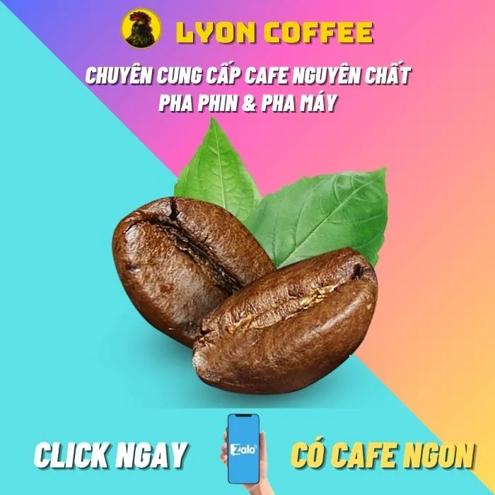 Cách chọn mua cà phê nguyên chất ngon để pha cafe sữa đá sài gòn