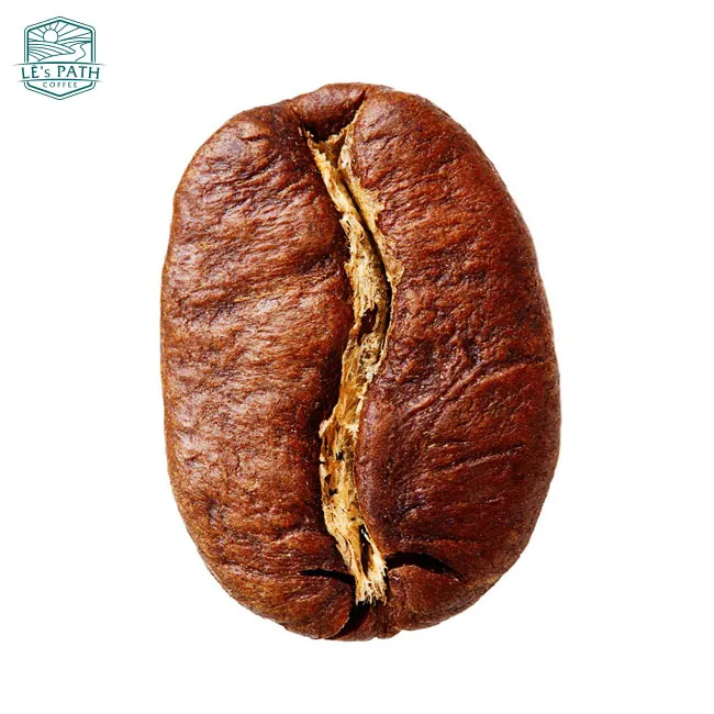 Cận cảnh hạt cà phê Arabica chất lượng cao, gợi ý cho cách chọn hạt cà phê ngon