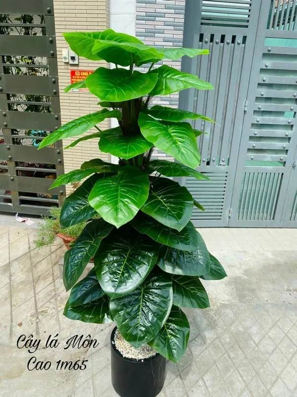 Cây trầu bà giả trang trí quán cà phê phong cách vintage tạo không gian xanh