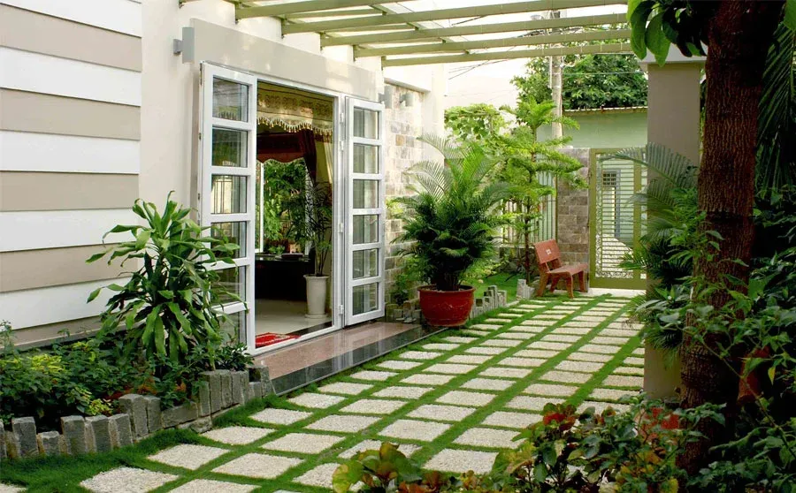 Cây xanh tươi tốt sau khi áp dụng các kỹ thuật trồng trọt và chăm sóc chuyên sâu
