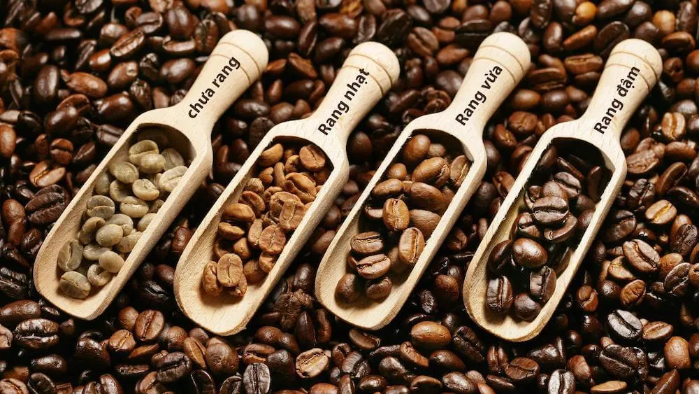 Chọn hạt cà phê dựa trên lượng caffein và màu sắc của hạt