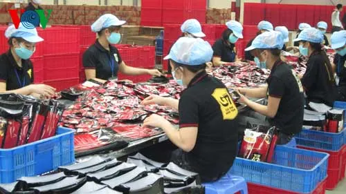 Đóng gói sản phẩm cà phê hòa tan G7 Trung Nguyên với dây chuyền hiện đại tại nhà máy Bắc Giang