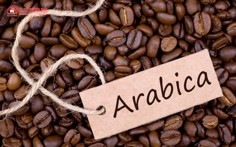 Hạt cà phê Arabica nguyên chất, mịn