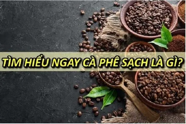 Hạt cà phê Arabica và Robusta chất lượng cao, tươi sáng