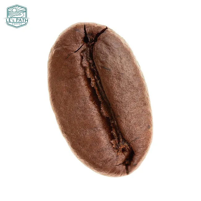 Hạt cà phê Culi (Peaberry) độc đáo, một biến thể cần cân nhắc trong cách chọn hạt cà phê ngon