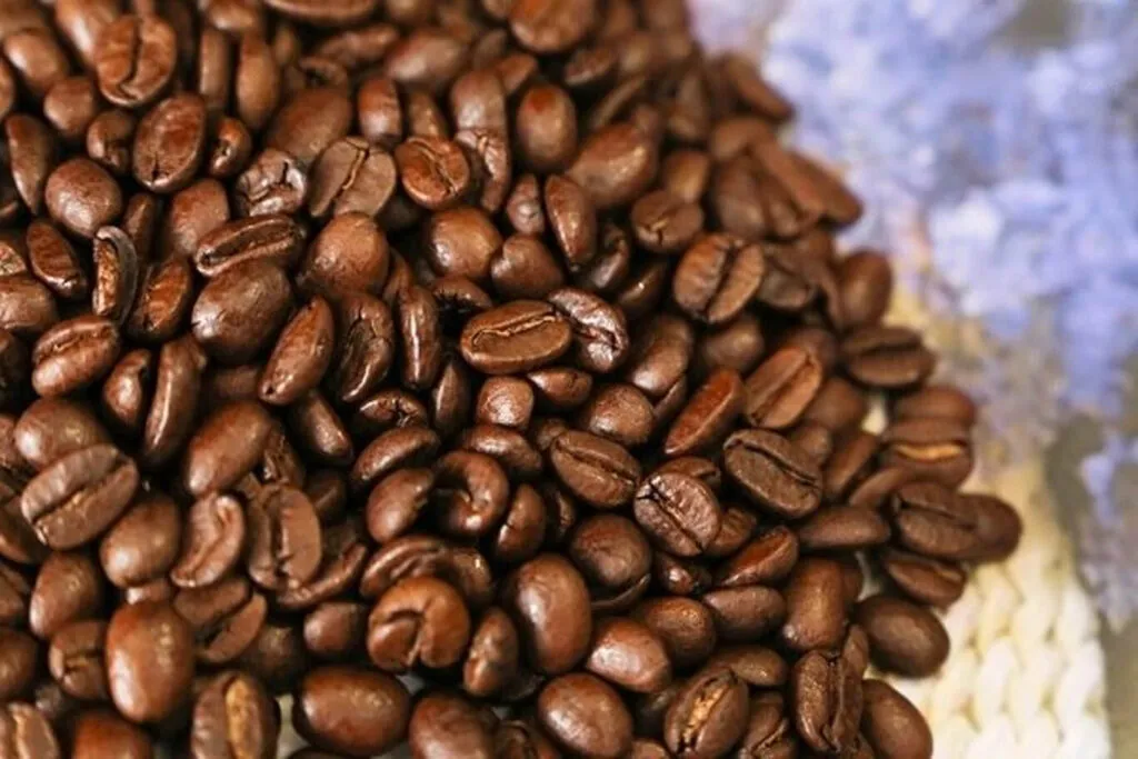 Hạt cà phê Moka đã rang, có giá trị cao