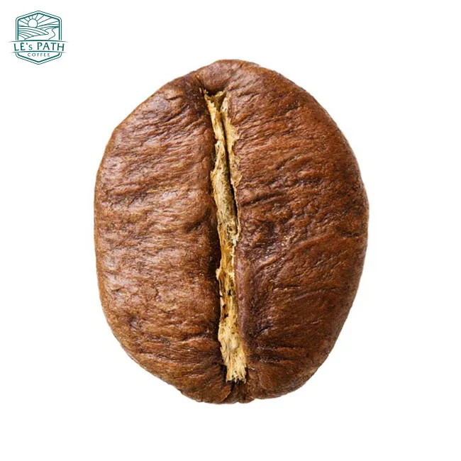 Hạt cà phê Robusta chưa rang, một yếu tố quan trọng trong cách chọn hạt cà phê ngon