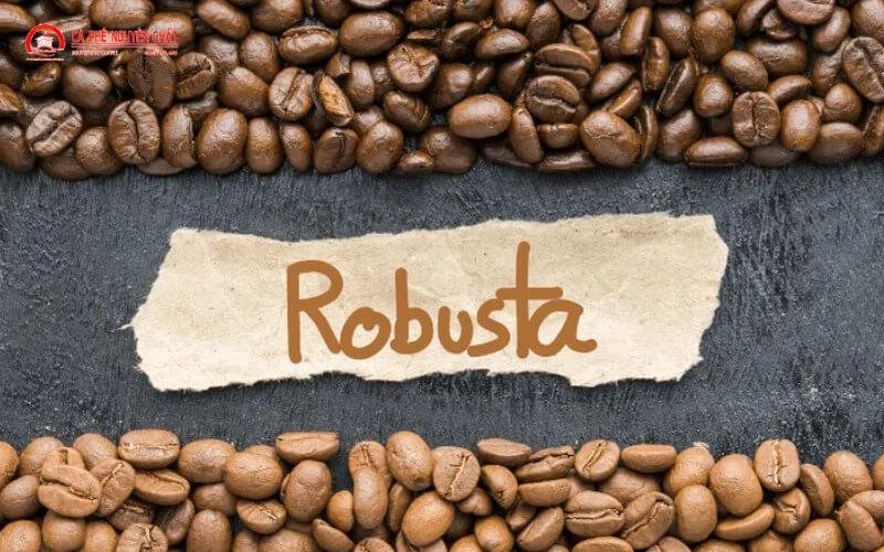 Hạt cà phê Robusta rang xay đậm màu