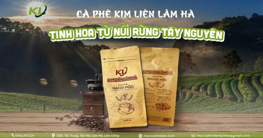 Hạt cà phê xanh chất lượng cao từ vùng đất Lâm Hà, Lâm Đồng