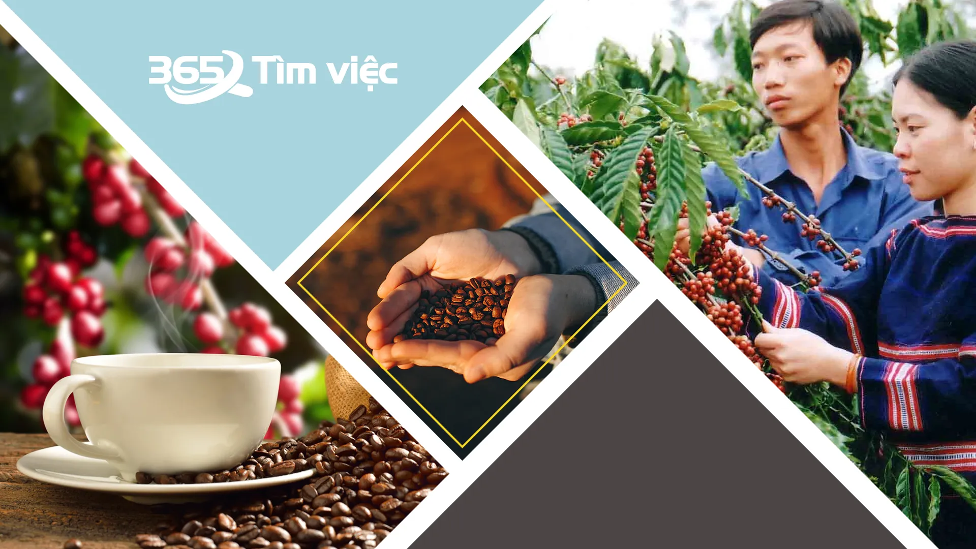 Highland Coffee - thương hiệu cà phê nổi tiếng với nhiều loại đồ uống hấp dẫn
