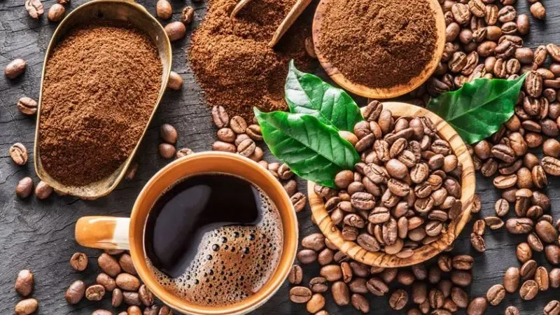 Hình ảnh minh họa các loại hạt cà phê Robusta, Arabica và Cherry được đặt cạnh nhau thể hiện tỷ lệ pha trộn vàng