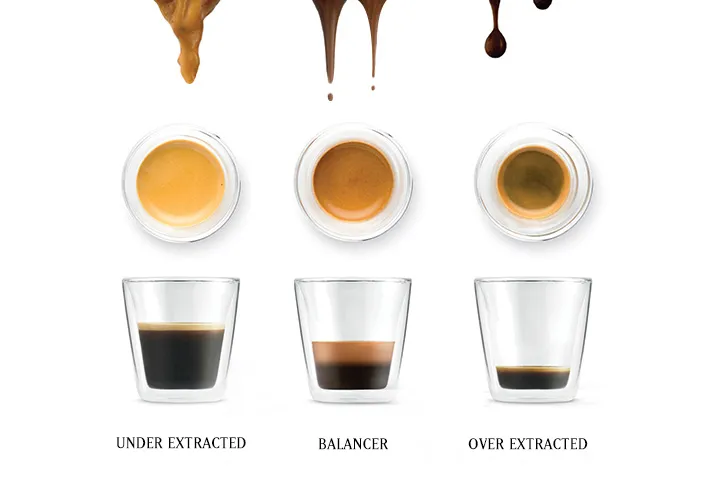 Hình ảnh minh họa các mức độ chiết xuất cà phê: Under-extraction (chua gắt), Balanced (cân bằng), Over-extraction (đắng chát) cho cách pha cà phê Sapa