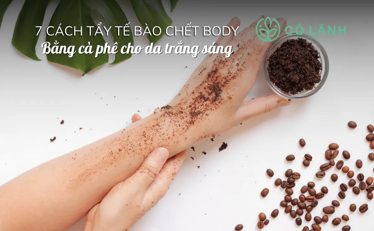 Hình ảnh minh họa các nguyên liệu tự nhiên cho cách tẩy tế bào chết cho body bằng cà phê