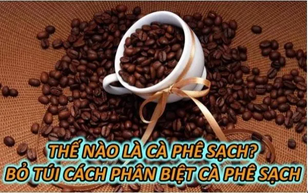 Hình ảnh một gói cà phê sạch nguyên chất, có nhãn mác rõ ràng