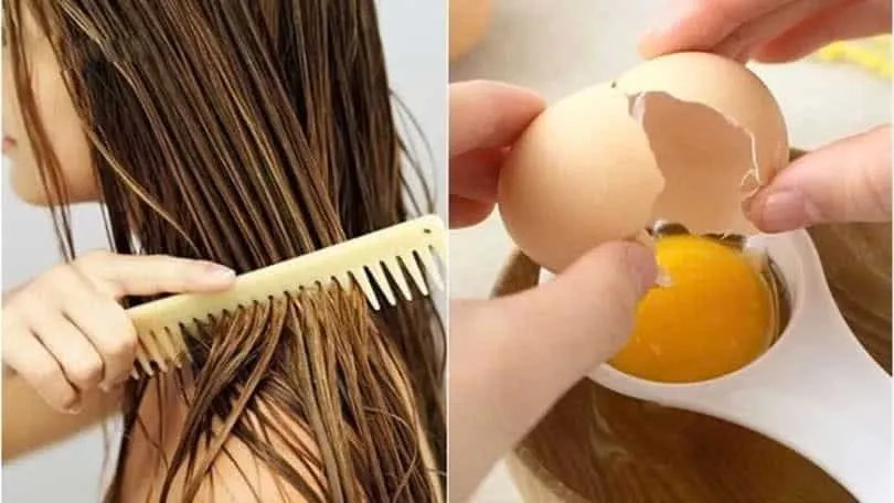 Hỗn hợp cà phê và trứng gà, cung cấp protein và sắc tố cho mái tóc khỏe và lên màu tự nhiên