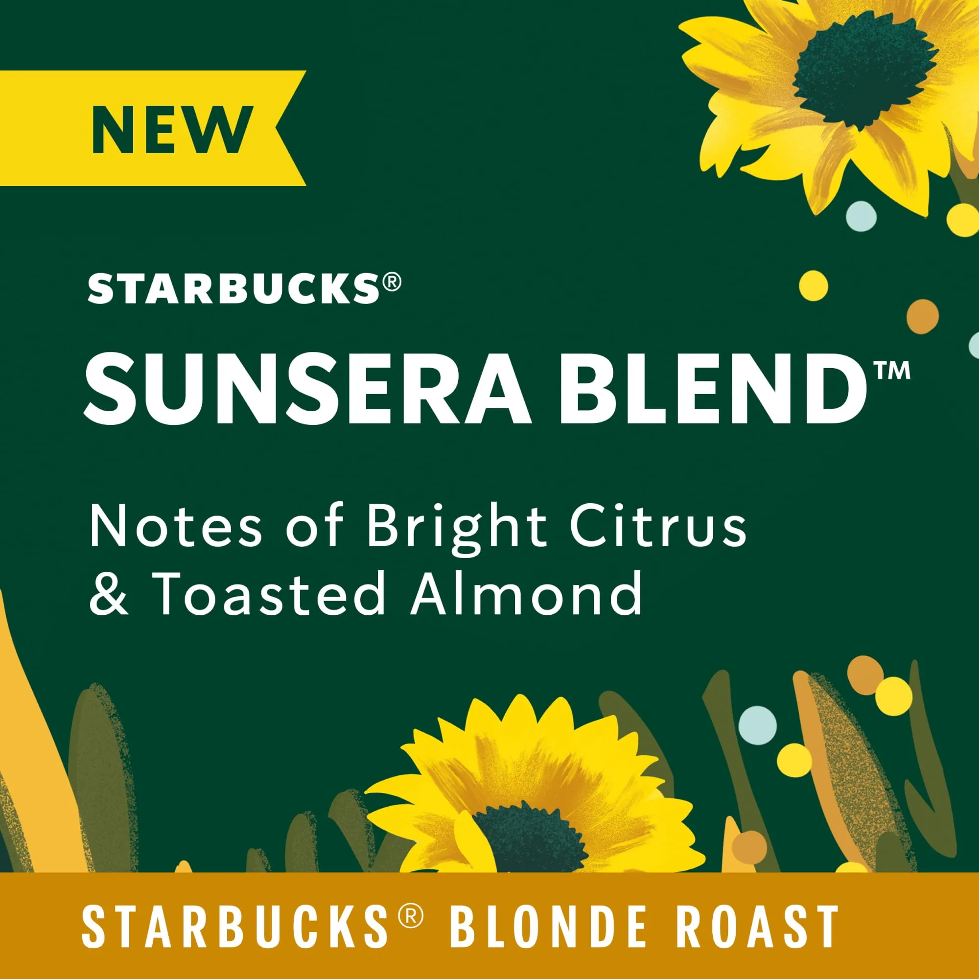 Hướng dẫn pha chế cà phê rang xay starbucks Blonde Roast nóng và đá với tỷ lệ cụ thể