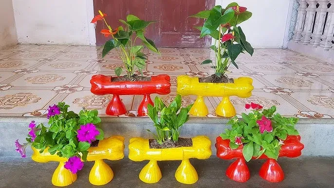 Khu vườn thẳng đứng với các loại cây ăn quả, ứng dụng phương pháp phủ bã cà phê giữ ẩm