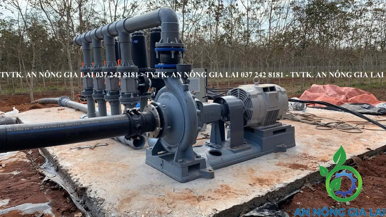 Lắp Đặt Trạm Bơm Hệ Thống Tưới 120ha Sầu Riêng Tại Đăk Lăk: Giải Pháp Máy Bơm Lưu Lượng Lớn Cho Vườn Cà Phê Đất Bằng