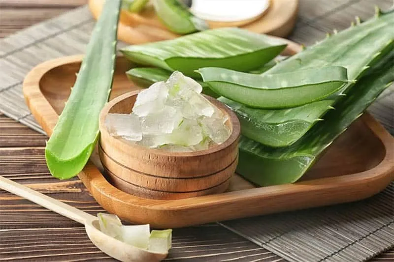 Mặt nạ cà phê, nha đam, mật ong được trộn lẫn để chăm sóc tóc