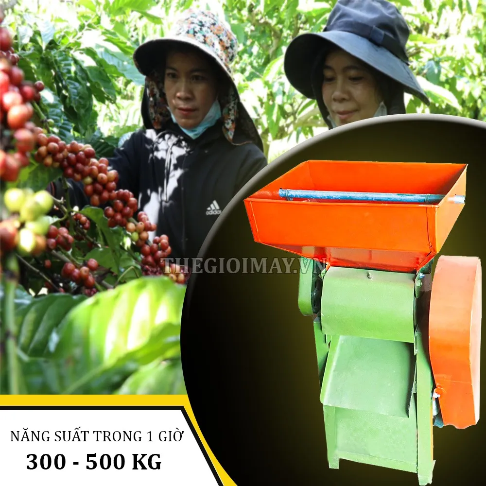 Máy bóc vỏ cà phê đạt năng suất lớn từ 300 đến 500 kg trong 1 giờ sử dụng giúp tối ưu quy trình chế biến ướt