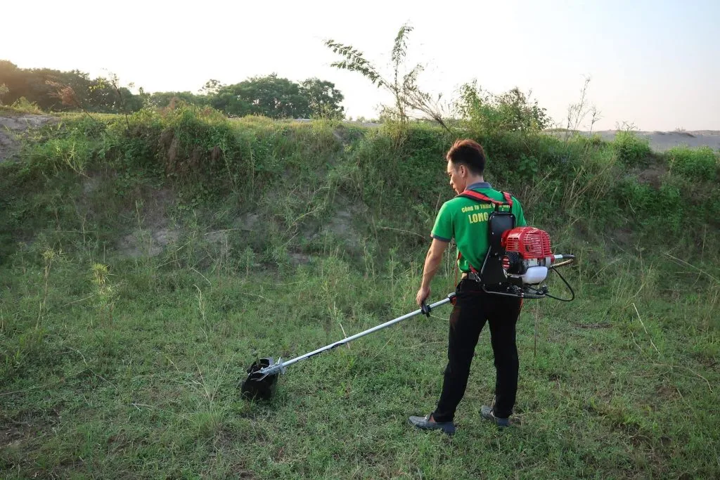 Máy làm cỏ cà phê đang xới đất và vun bồn trong rẫy